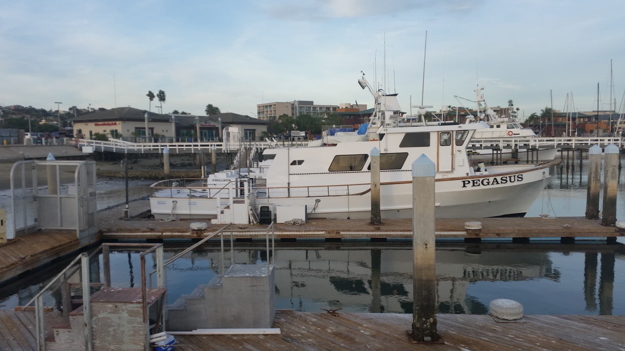 Pegasus sportfisher at a Point Loma landing
