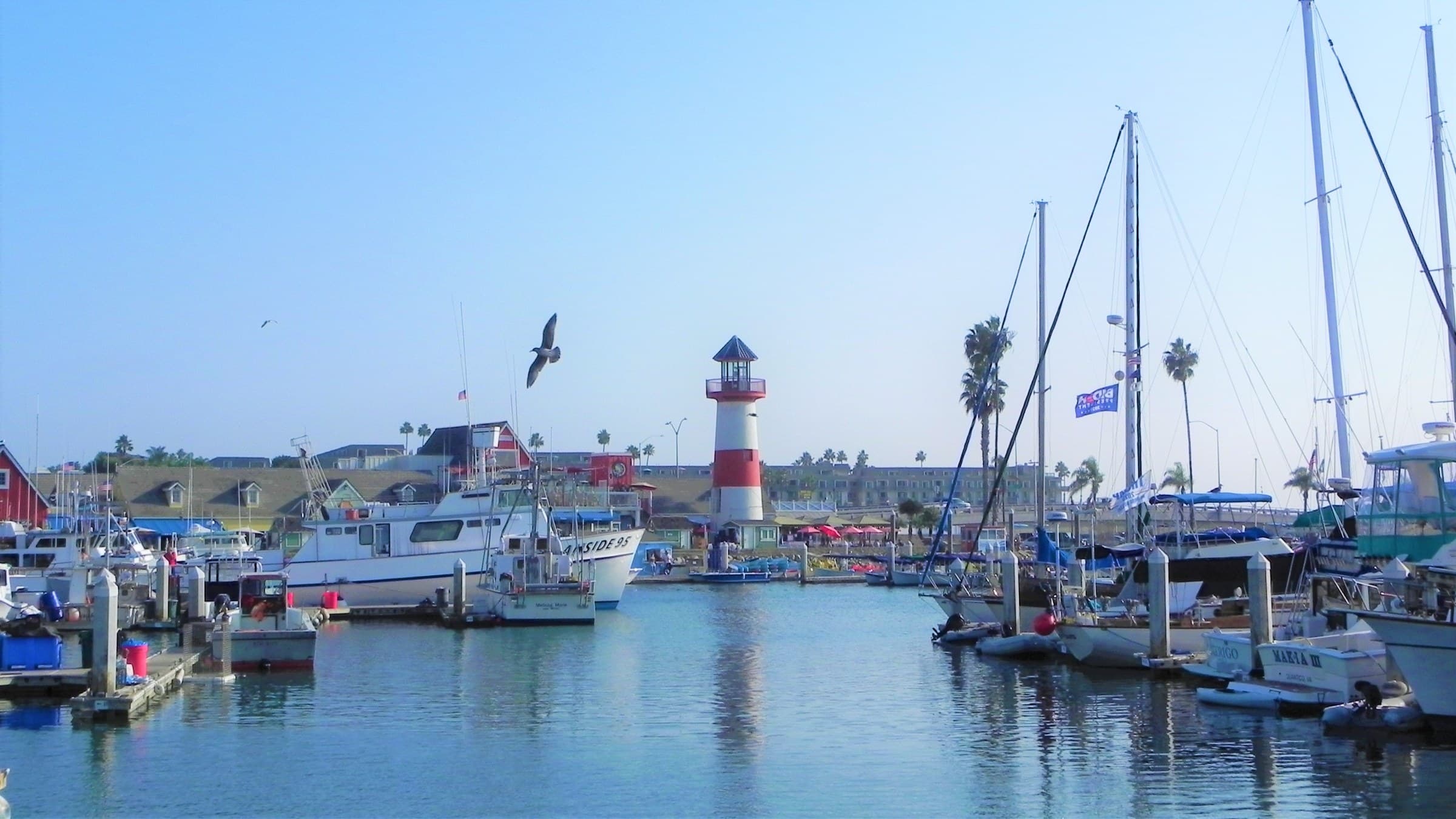 Sportfishing boats at Oceanside Harbor Village